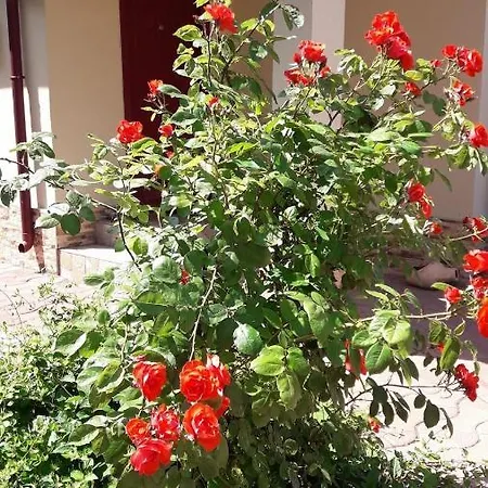 Casa Aida