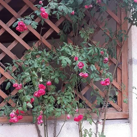Casa Aida *